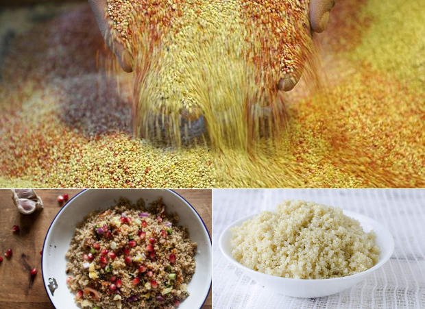 Les bonnes vertus de la quinoa pour la vie ne sont plus à démontrer | Photos : Divers